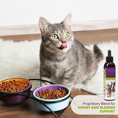 Show full view: Animal Nutritional Products UroMAXX Urinary, Kidney & Bladder Dog & Cat Supplement, 6-fl oz bottle slide 9 of 11