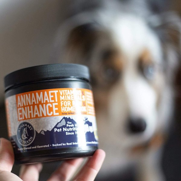 Annamaet Enhance Raw & Home Cook Meal Dog Vitamin & Mineral Supplement, 8.5-oz