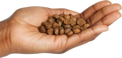 Show full view: Annamaet Original Extra Dry Dog Food, 5-lb bag slide 4 of 8