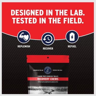 Show full view: Annamaet Recovery Chews Supplement for Dogs, 16 count slide 4 of 7