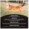 Show in main carousel: Annamaet Recovery Chews Supplement for Dogs, 30 count slide 5 of 7