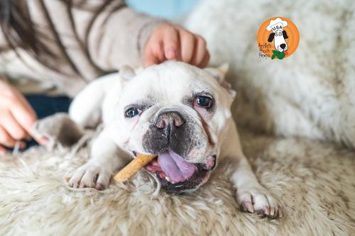 Show full view: Annie's Pooch Pops Doggie Fries Dog Treats, 4.7-oz bag slide 7 of 10