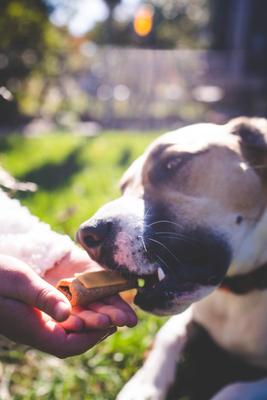 Show full view: Annie's Pooch Pops Mini Chicken Wraps Dog Treats, 6 count slide 6 of 9