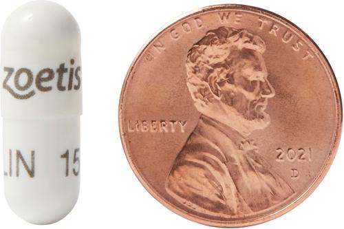 Show full view: Antirobe (Clindamycin HCI) Capsules for Dogs, 150-mg, 60 capsules slide 4 of 6