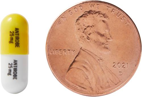 Show full view: Antirobe (Clindamycin HCI) Capsules for Dogs, 25-mg, 1 capsule slide 4 of 6