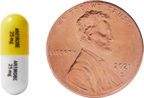 ANTIROBE (Clindamycin HCI) Capsules for Dogs, 25-mg - Easy Refills ...
