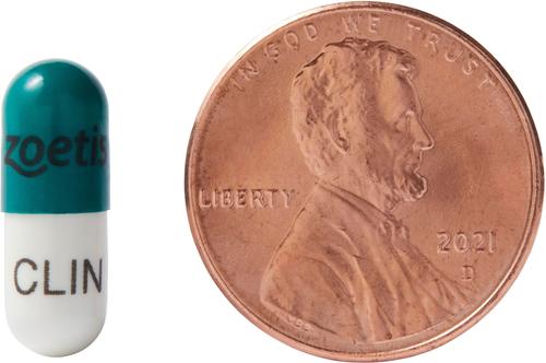 Show full view: Antirobe (Clindamycin HCI) Capsules for Dogs, 75-mg, 30 capsules slide 4 of 6