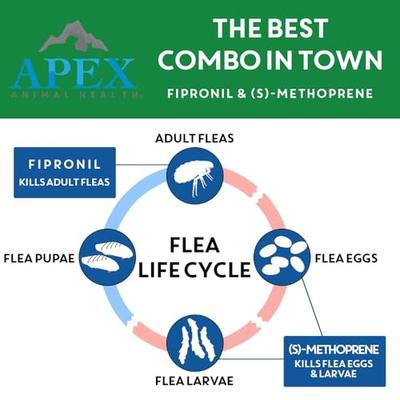Show full view: Apex Plus Topical Flea & Tick Treatment for Cats, >1.5 lbs, 6 doses slide 4 of 8
