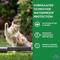 Show in main carousel: Apex Plus Topical Flea & Tick Treatment for Cats, >1.5 lbs, 6 doses slide 7 of 8