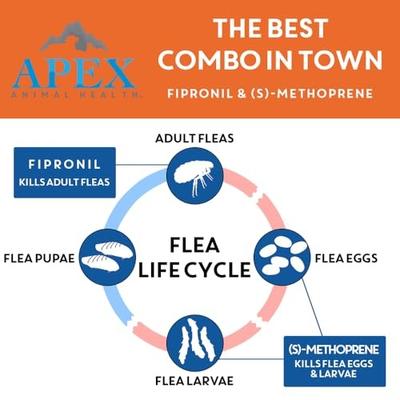 Show full view: Apex Plus Topical Flea & Tick Treatment for Dogs, 5-22 lbs, 6 doses slide 3 of 8