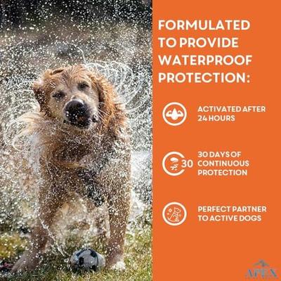 Show full view: Apex Plus Topical Flea & Tick Treatment for Dogs, 5-22 lbs, 6 doses slide 7 of 8