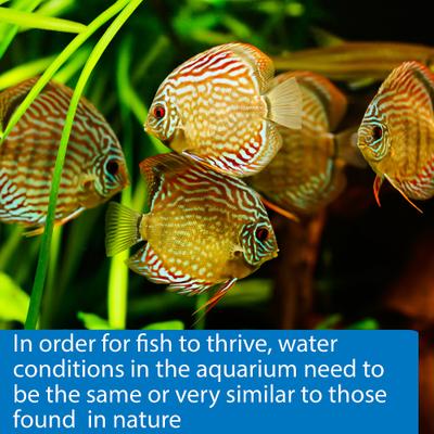 Show full view: API 5 in 1 Freshwater & Saltwater Aquarium Test Strips, 25 count slide 6 of 10