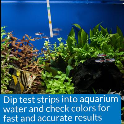 Show full view: API 5 in 1 Freshwater & Saltwater Aquarium Test Strips, 25 count slide 7 of 10