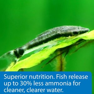 API Algae Eater Wafers Fish Food, 6.4-oz bottle