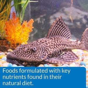 API Algae Eater Wafers Fish Food, 6.4-oz bottle