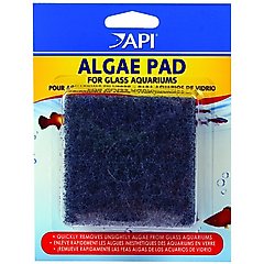 API Algae Pad for Glass Aquariums, 1 count