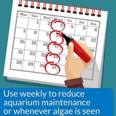 Show full view: API Algaefix Algae Control Aquarium Solution, 1.25-fl oz bottle slide 3 of 9