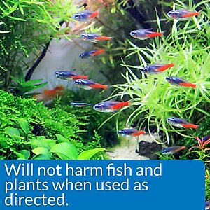 API Algaefix Algae Control Aquarium Solution, 16-fl oz bottle