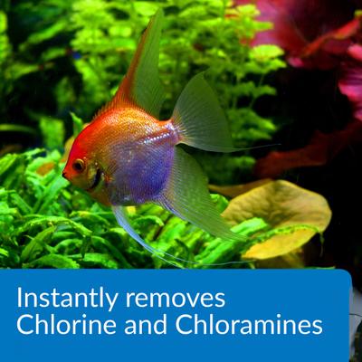 Show full view: API Ammo-Lock Freshwater & Saltwater Aquarium Ammonia Detoxifier, 4-oz bottle slide 5 of 10