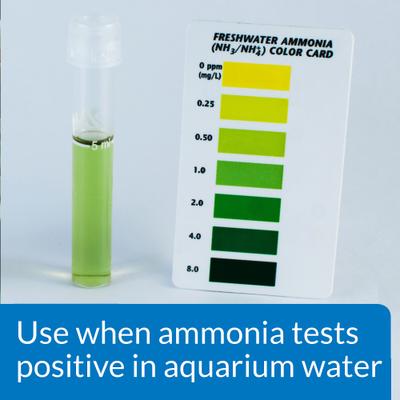 Show full view: API Ammo-Lock Freshwater & Saltwater Aquarium Ammonia Detoxifier, 8-oz bottle slide 3 of 10