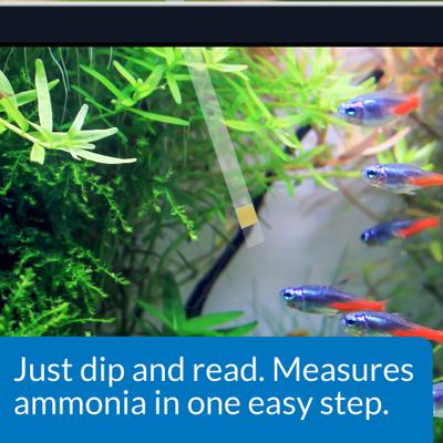 Show full view: API Ammonia NH3/NH4 Freshwater & Saltwater Aquarium Test Strips, 25 count slide 3 of 7