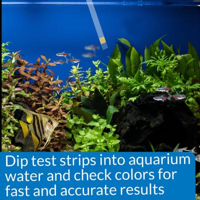 Show full view: API Ammonia NH3/NH4 Freshwater & Saltwater Aquarium Test Strips, 25 count slide 5 of 7
