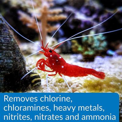 Show full view: API Aqua Essential Aquarium Treatment, 8-fl oz bottle slide 4 of 9