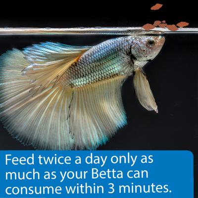 Show full view: API Betta Flakes Fish Food, 0.36-oz bottle slide 3 of 6