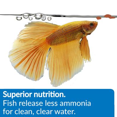 Show full view: API Betta Flakes Fish Food, 0.36-oz bottle slide 4 of 6