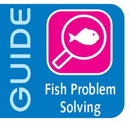 Show full view: API Bettafix Antibacterial & Antifungal Betta Fish Infection Remedy, 1.7-oz bottle slide 5 of 9