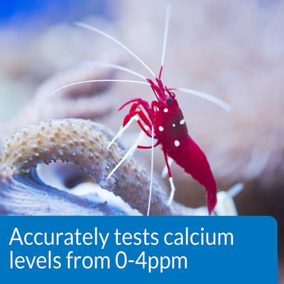 Show full view: API Calcium Saltwater Aquarium Test Kit, 1 count slide 5 of 9