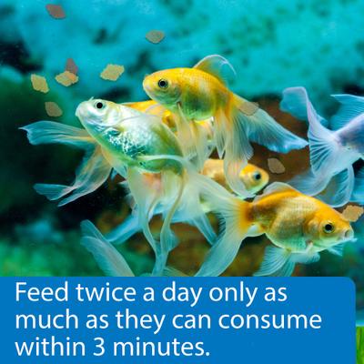 Show full view: API Flakes Goldfish Fish Food, 5.7-oz bottle slide 4 of 9