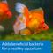 Show in main carousel: API Goldfish Protect Aquarium Water Conditioner, 4-fl oz bottle slide 6 of 8
