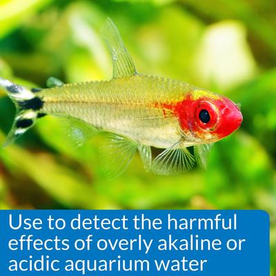 Show full view: API High Range pH Fresh & Salt Water Aquarium Test Kit, 160 count slide 5 of 8