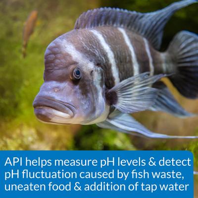 Show full view: API High Range pH Fresh & Salt Water Aquarium Test Kit, 160 count slide 7 of 8