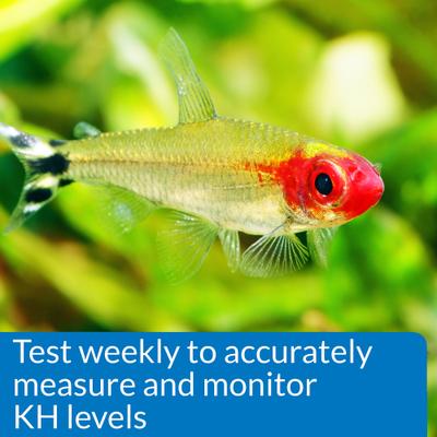 Show full view: API KH Carbonate Hardness Fresh & Salt Water Aquarium Test Kit slide 6 of 9