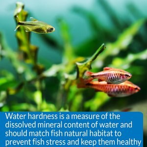 API KH Carbonate Hardness Fresh & Salt Water Aquarium Test Kit