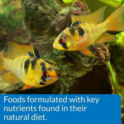 Show full view: API Large Floating Pellets Cichlid Fish Food, 4.2-oz bottle slide 6 of 8