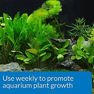 API Leaf Zone Freshwater Aquarium Plant Fertilizer, 16-oz bottle