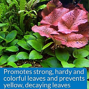 API Leaf Zone Freshwater Aquarium Plant Fertilizer, 16-oz bottle