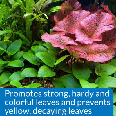 Show full view: API Leaf Zone Freshwater Aquarium Plant Fertilizer, 16-oz bottle slide 4 of 8