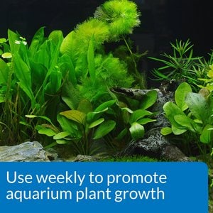 API Leaf Zone Freshwater Aquarium Plant Fertilizer, 8-oz bottle