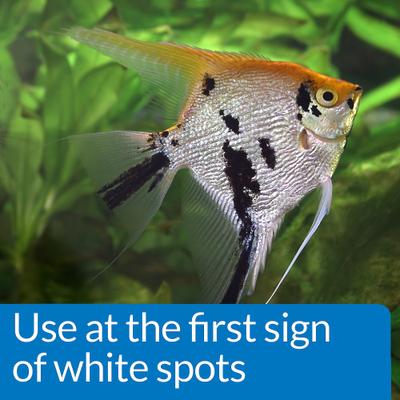 Show full view: API Liquid Super Ick Cure Freshwater Aquarium Fish Medication, 4-oz bottle, bundle of 2 slide 4 of 9