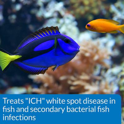 Show full view: API Liquid Super Ick Cure Freshwater Aquarium Fish Medication, 4-oz bottle, bundle of 2 slide 5 of 9