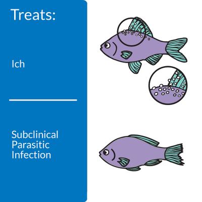 Show full view: API LIQUID SUPER ICK CURE Freshwater & Saltwater Fish Medication, 4-oz bottle slide 3 of 10