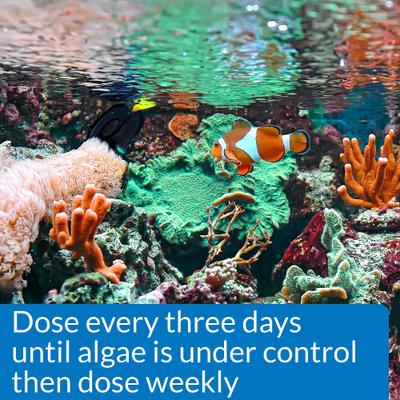 Show full view: API Marine ALGAEFIX Algae Control 16-fl oz bottle slide 3 of 9
