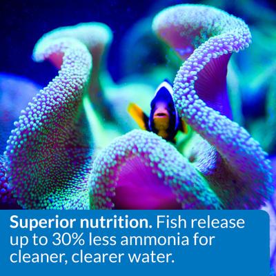 Show full view: API Marine Optimal Protein Flakes Fish Food, 2.1-oz bottle slide 5 of 8