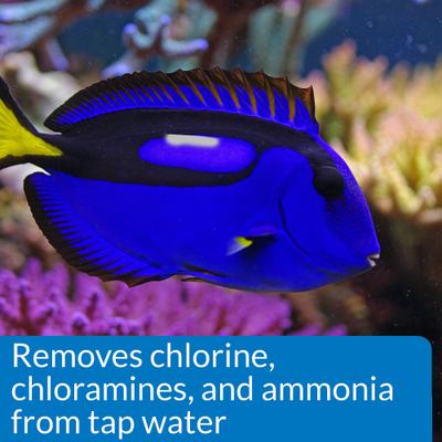 Show full view: API Marine Stress Coat Saltwater Aquarium Water Conditioner, 16-fl oz bottle slide 4 of 10