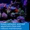 Show in main carousel: API Marine Stress Zyme Saltwater Aquarium Cleaning Solution, 16-fl oz bottle slide 4 of 9