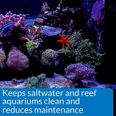 Show full view: API Marine Stress Zyme Saltwater Aquarium Cleaning Solution, 16-fl oz bottle slide 4 of 9